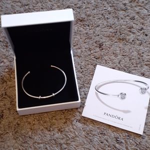 Pandora bangle
